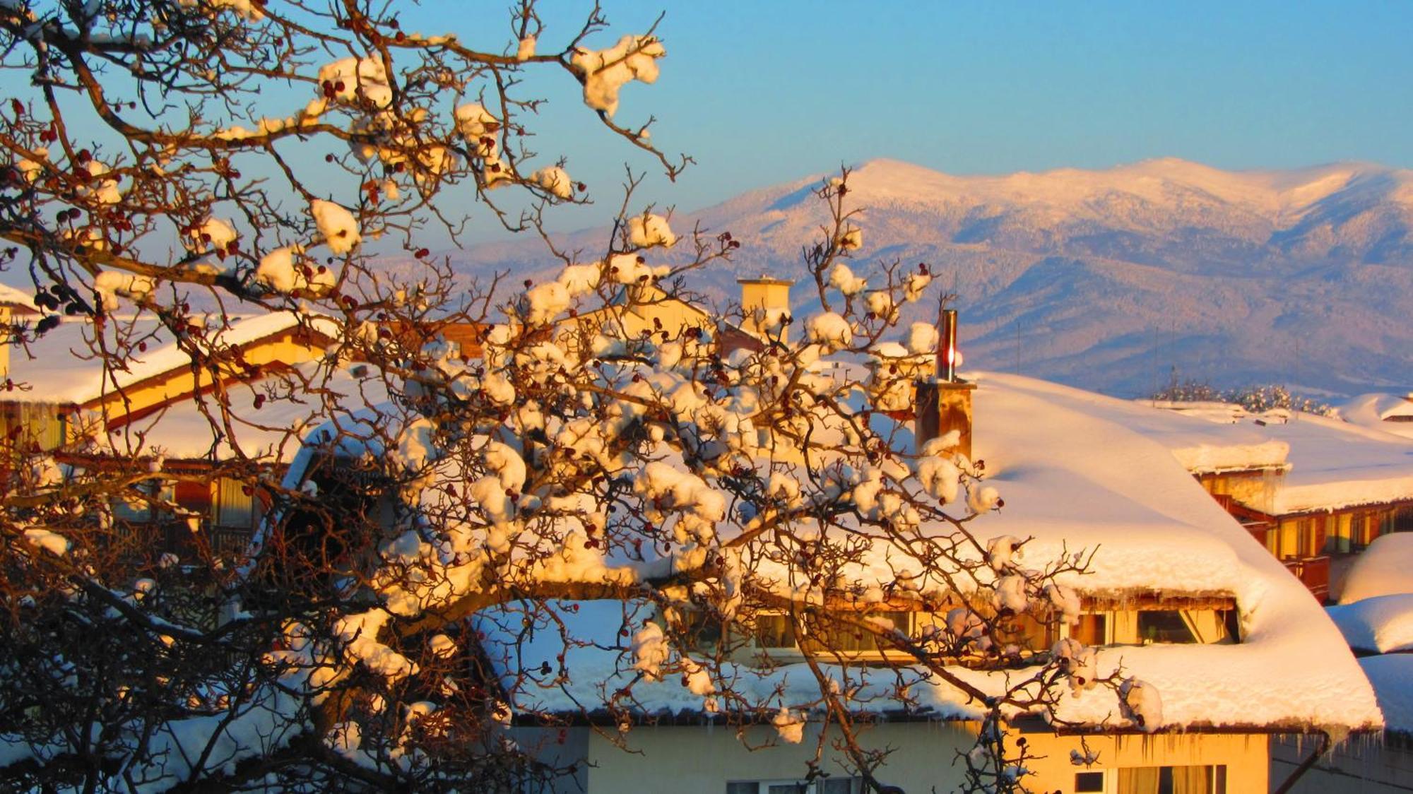 Family Hotel Santo Bansko Eksteriør bilde